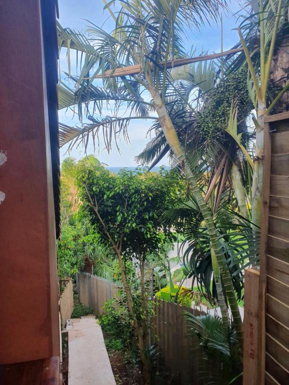 a palm tree in a yard with a fence at Ocean Walk Penguin in Zinkwazi Beach