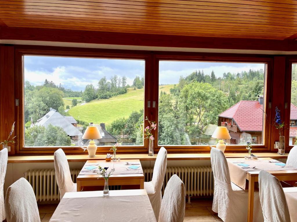 Příroda nedaleko hotelu