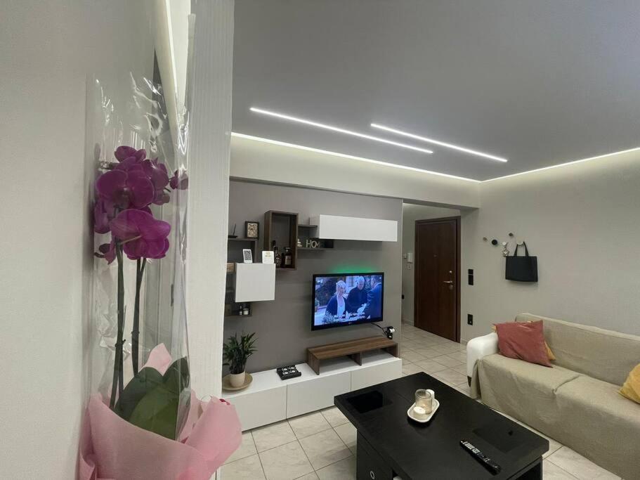 TV a/nebo společenská místnost v ubytování Serenity apartment