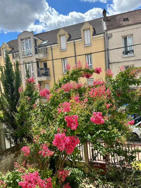 Vonkajšia záhrada v ubytovaní F3 au grenier d'une maison