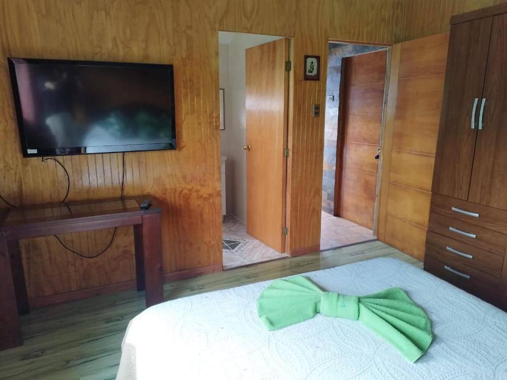 TV a/nebo společenská místnost v ubytování Hostal Avareipua