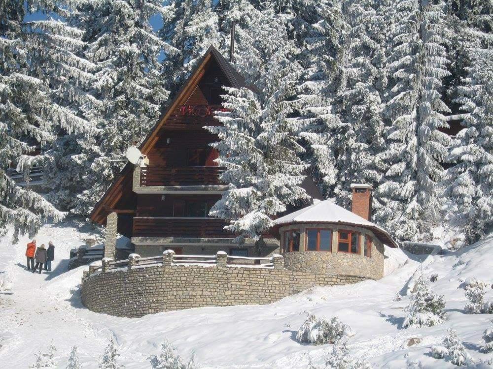 弗拉西克的住宿－Villa Jasmin - Vlašić，雪中小屋,有雪覆盖的树木