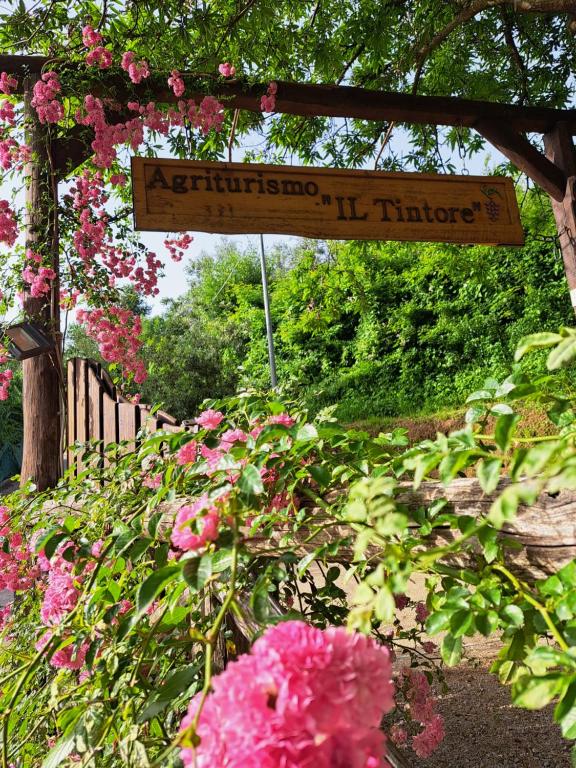 Zahrada ubytování Agriturismo Il Tintore