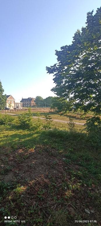 un champ avec un arbre au milieu d'un champ dans l'établissement Joli studio spacieux au rez de chaussée, à Denain