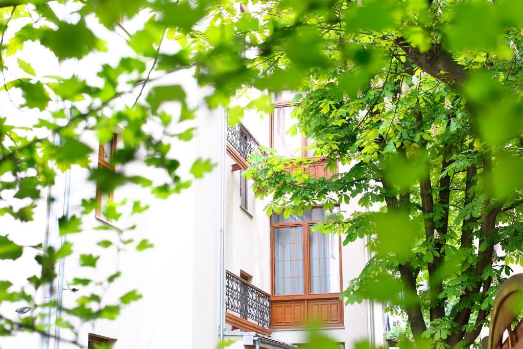 Amber Boutique Hotels - Hotel Amber - Resim 23