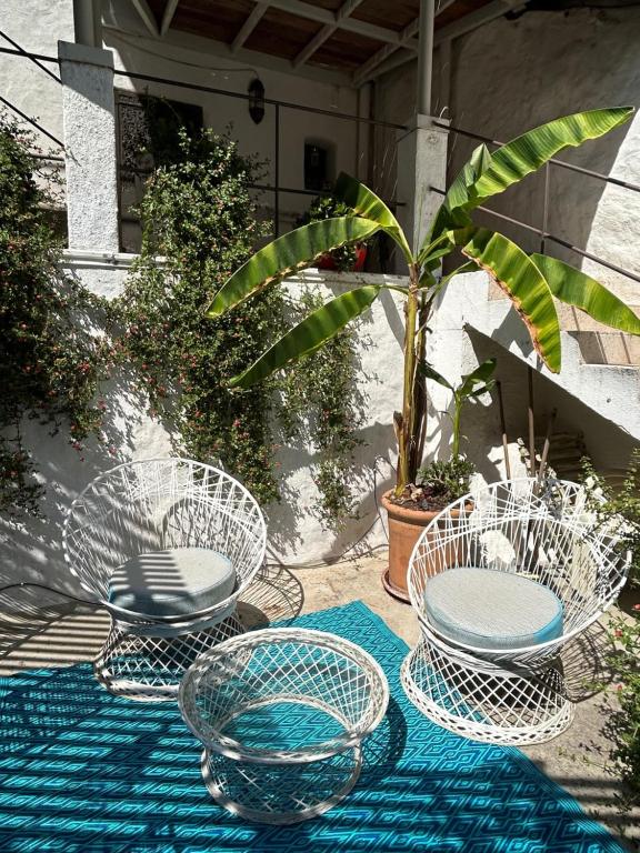 Fotografia z galérie ubytovania Maison Vallon des Auffes v destinácii Marseille