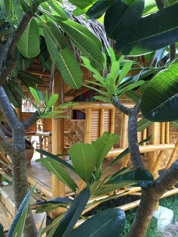 Margarita Beach - 10