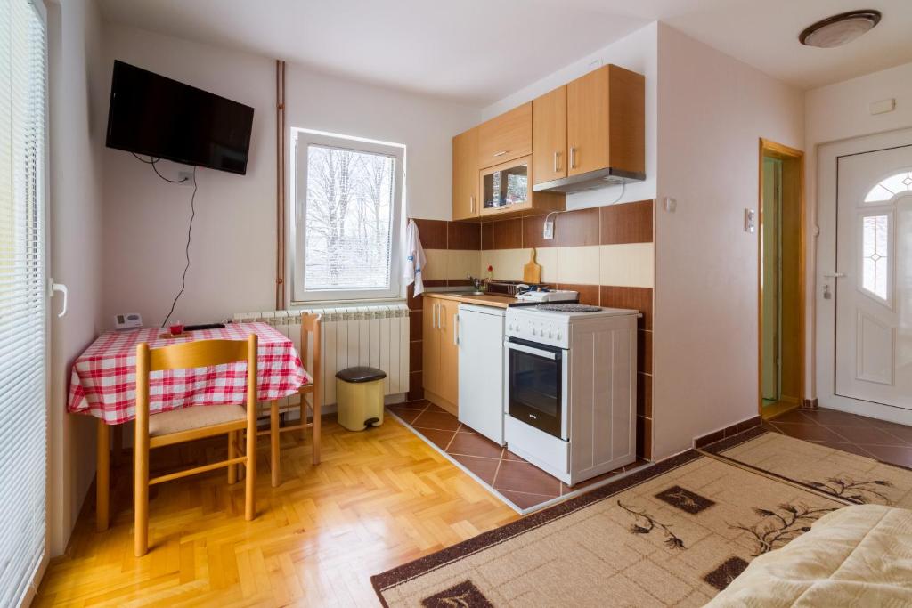 Kuchyň nebo kuchyňský kout v ubytování Vila Savinka