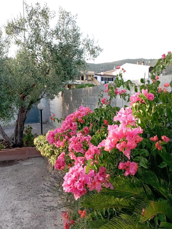 L'Oleandro a Monteponi - Incantevole Casa Panoramica