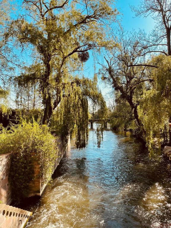 Hôtel-SPA Le Moulin De La Wantzenau - Strasbourg Nord - Suite Superior Mühlgiessen Acceso Al Spa Incluido