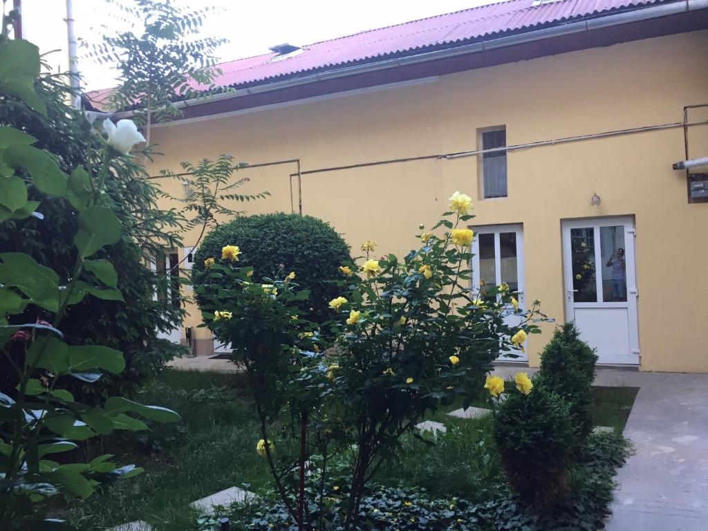 una casa con flores amarillas en el patio en Vivaldi Studios, en Cluj-Napoca