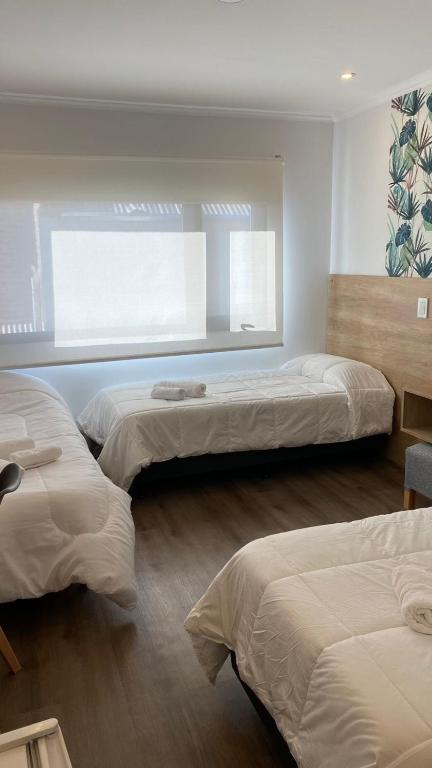 Apart IMEB spa & wellness - 三个房间