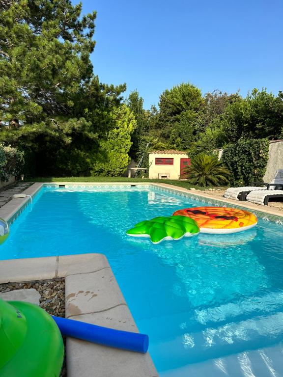 uma piscina com uma jangada e um flutuador na água em La Pitchoune : Gîte aux pieds des Alpilles em Mouriès