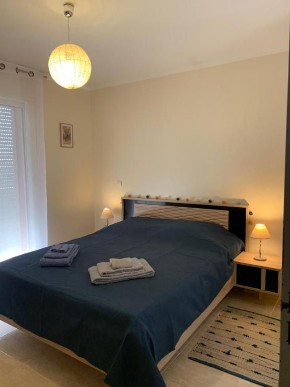 ein Schlafzimmer mit einem Bett mit zwei Handtüchern darauf in der Unterkunft Villa 3ch piscine vue dégagée in Taradeau