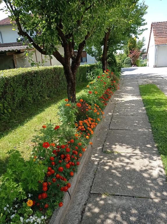 Vonkajšia záhrada v ubytovaní Studio Apartman Škudar