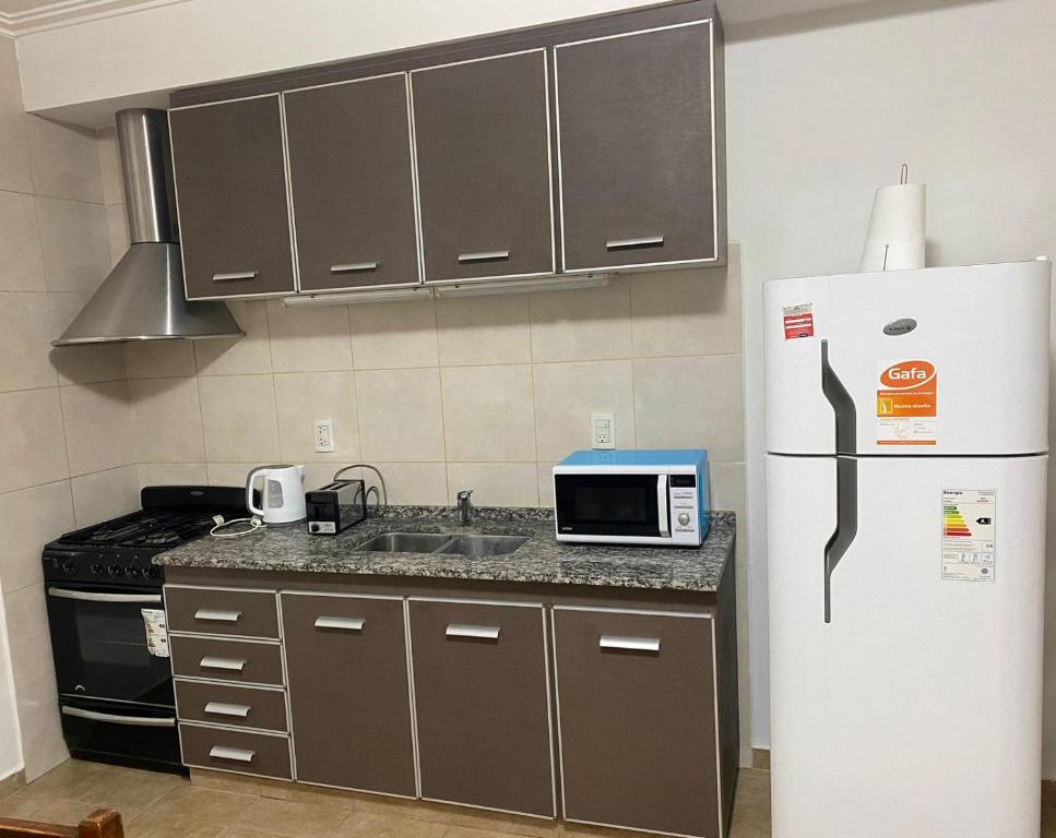 a kitchen with a refrigerator and a sink and a microwave at APART LUCIA in Esperanza
