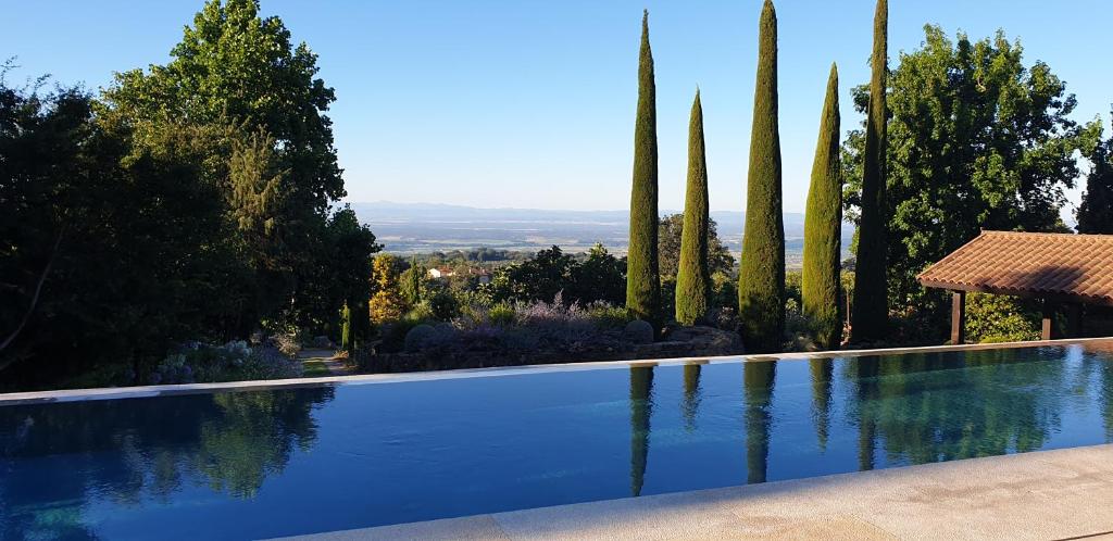 una piscina con palmeras al fondo en Lalisea, en Talaveruela