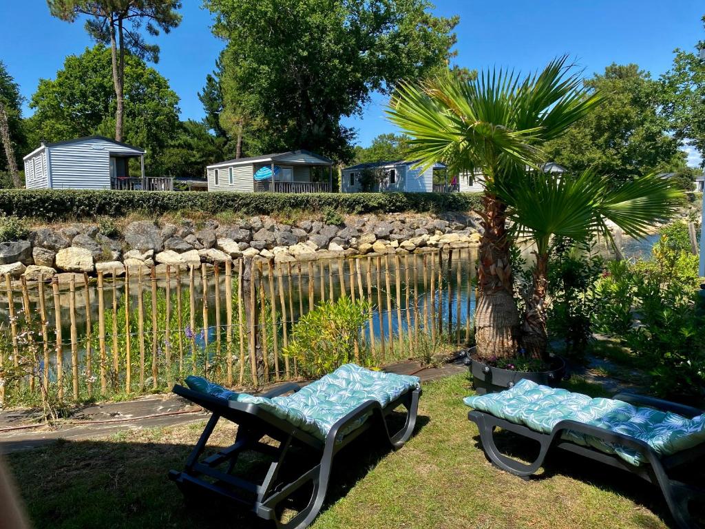 Duas espreguiçadeiras e uma palmeira ao lado de um lago em Mobil home 3 chb tout confort, Espace Enfants - Claouey Cap Ferret em Lège-Cap-Ferret