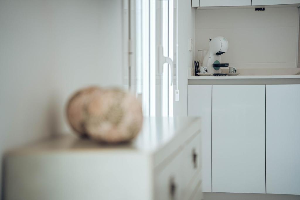 Apartamentos La Moneda - 14