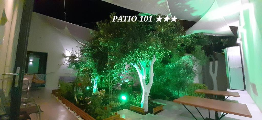Ogród w obiekcie Patio 101 "Exclusive"