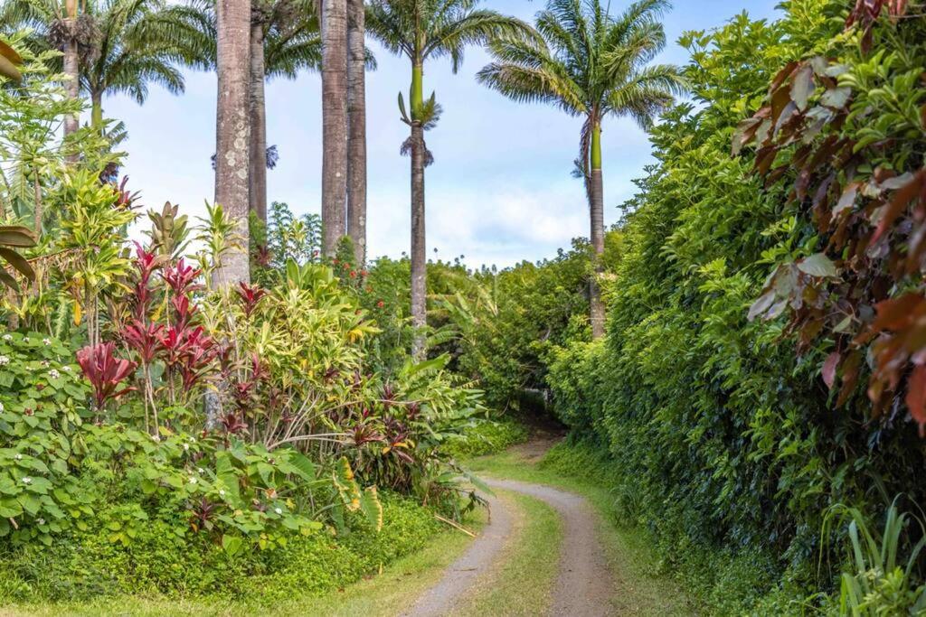 Zahrada ubytování Cliff House with Ocean Views in Haiku, Maui jungle