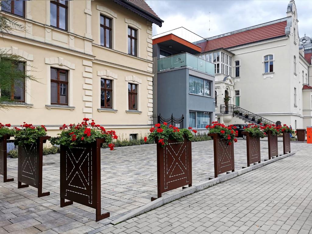rząd skrzynek kwiatowych na dziedzińcu w obiekcie Paderewskiego 9 Aparth w mieście Leszno