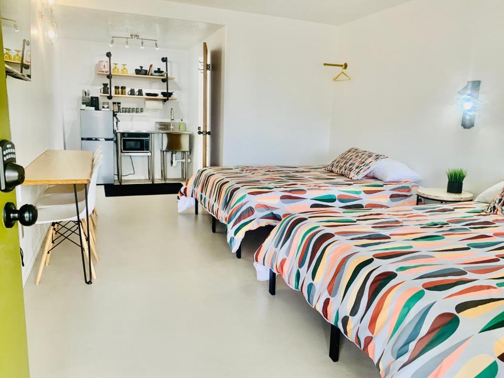 Dragonfly Motor Lodge - Deluxe Queen Studio