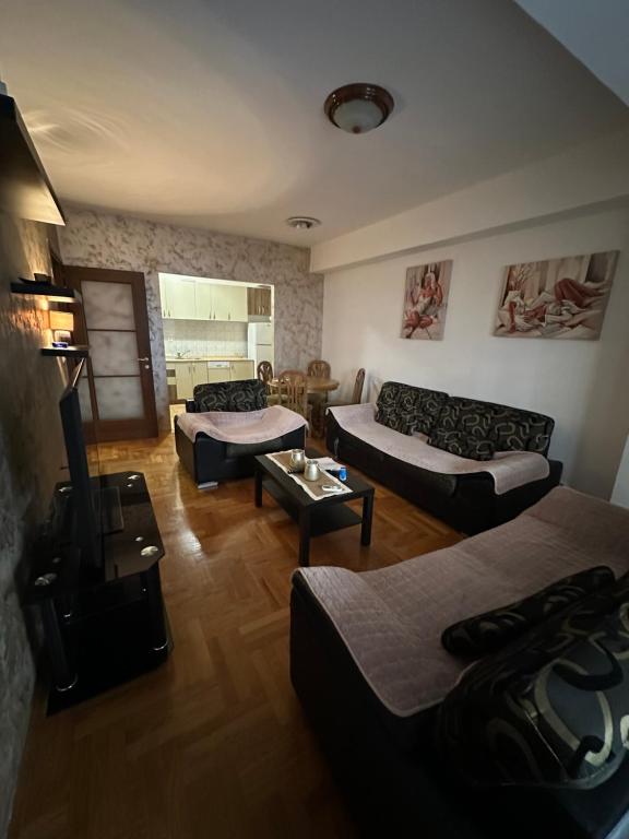uma sala de estar com dois sofás e uma mesa em Big apartment 2 em Podgorica