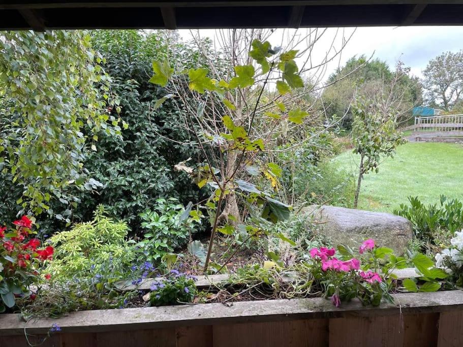 un jardín con un árbol y flores en una valla en Maple tree lodge. Quirky handcrafted Irish cabin, en Dromara