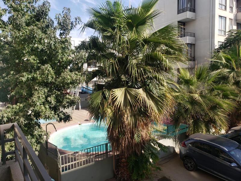 a palm tree in front of a building with a swimming pool at Departamento buena ubicación y completamente equipado in Santiago