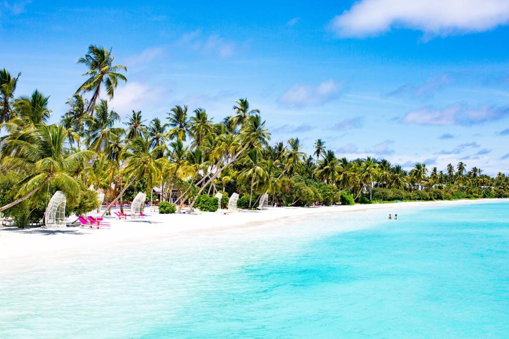 Kandima Maldives - 50 Percent Off Return Domestic Flights for stays of 4 nights or more between 11th April 2026 to 31st October 2026 - View 30