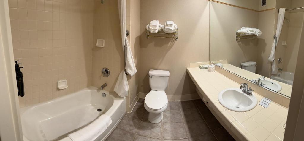 Rocklin Park Hotel - Deluxe King Room