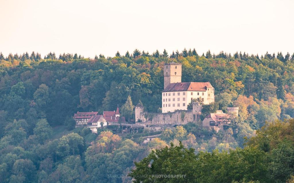 un château au sommet d'une colline plantée d'arbres dans l'établissement Wohnen auf der Ritterburg, à Haßmersheim