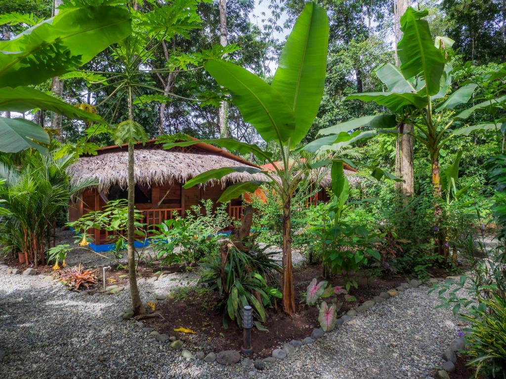 Zahrada ubytování Casitas Las Flores