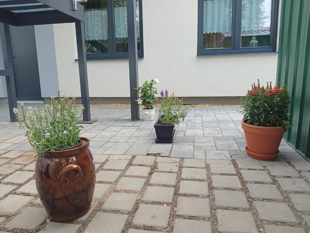 un gruppo di piante in vaso situate all’esterno di un edificio di Apartmány MANDLE a Hustopeče