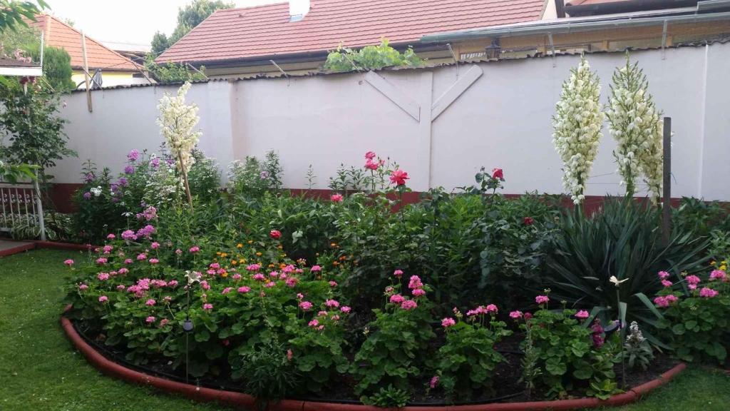 Vonkajšia záhrada v ubytovaní Apartment Siofok, Lake Balaton 3