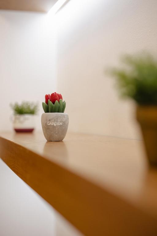 446 Luxury Apartament Center - Imazhi 12