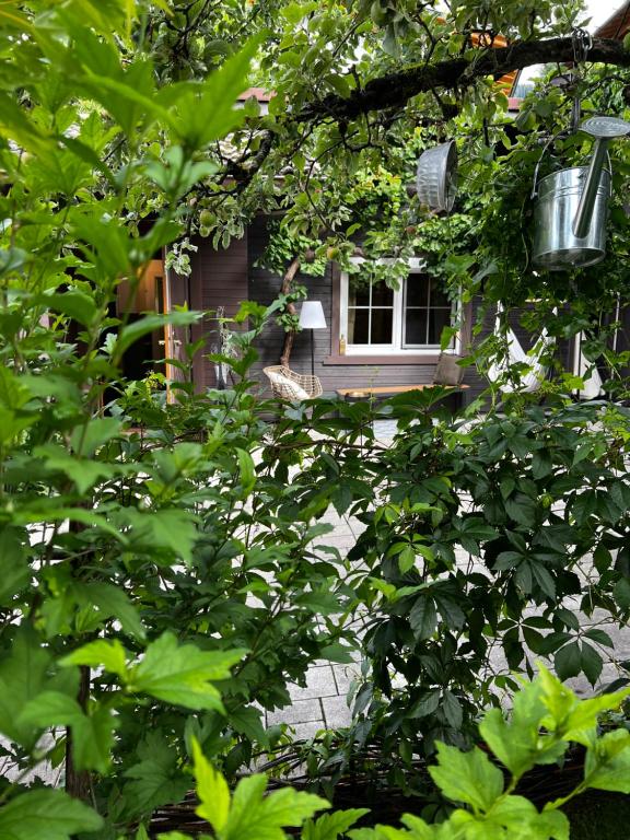 Zahrada ubytování Tini House