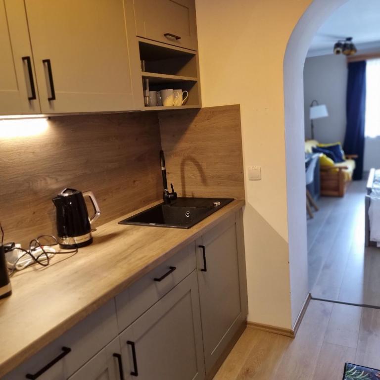 Kuchyň nebo kuchyňský kout v ubytování Mountain view apartments