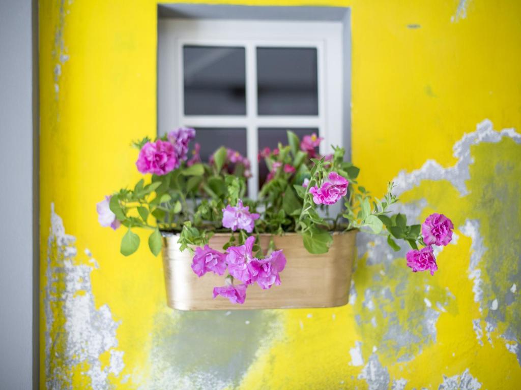 Miss Sophie's New Town & Wellness - Resim 28