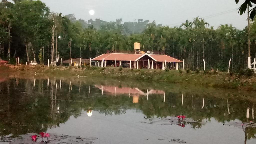 Příroda nedaleko farmy