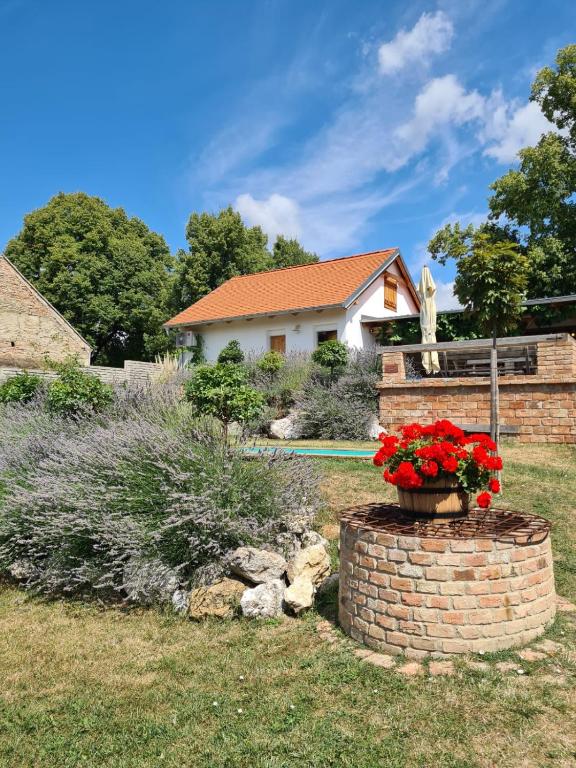 Zahrada ubytování La Bobul Apartments