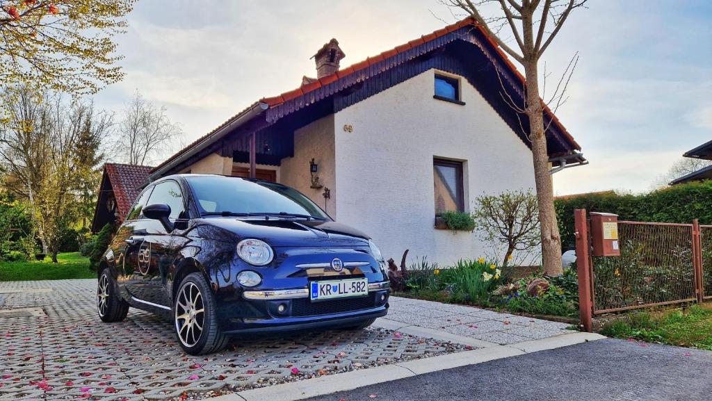 un coche azul estacionado frente a una casa en Aunty Rezika's house, en Cerklje ob Krki