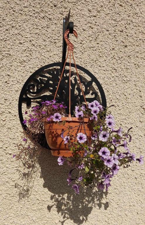 a flower pot on the side of a wall with flowers at Respire O&#39;Dorat chambres privées dans havre de paix in Le Dorat