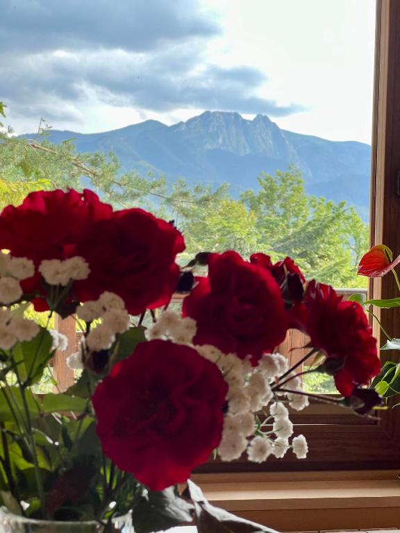 a vase of red flowers sitting in a window at Domek Olczyski in Zakopane