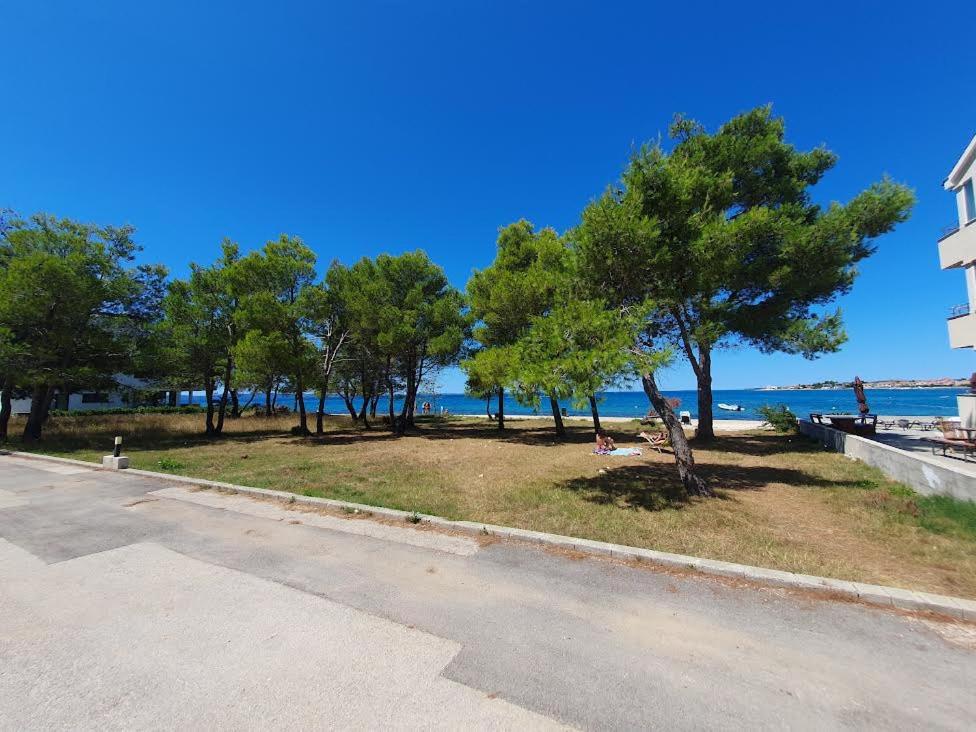 een park met bomen en de oceaan op de achtergrond bij Privlaka's Sun&Sea in Privlaka