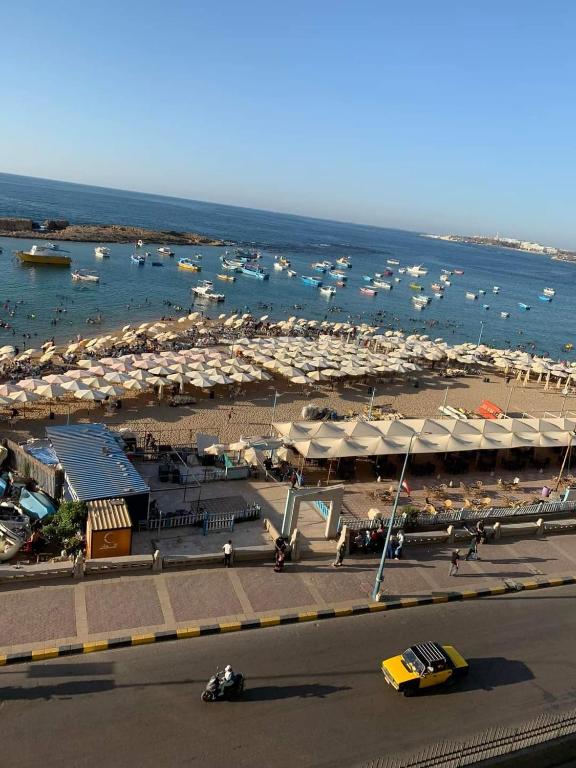 دليلك الشامل لأسعار الإيجار في الإسكندرية - تطور أسعار الإيجار في الإسكندرية