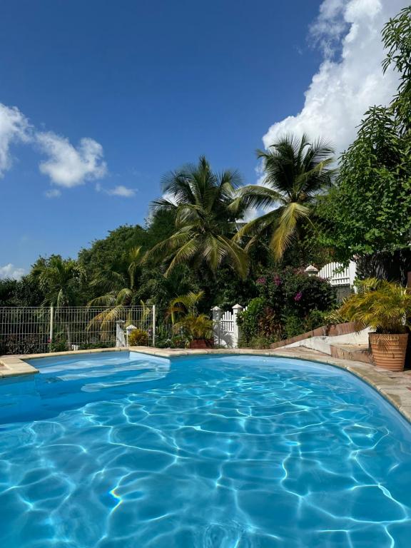 una grande piscina con palme sullo sfondo di Bungalow Ixora a Les Abymes
