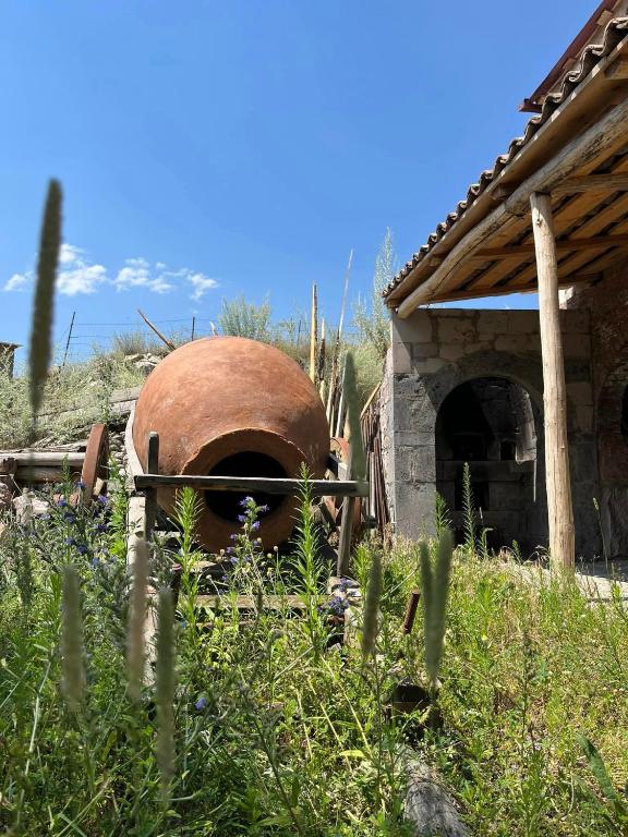 Fotografie z fotogalerie ubytování Tirebi v destinaci Nak'alak'evi