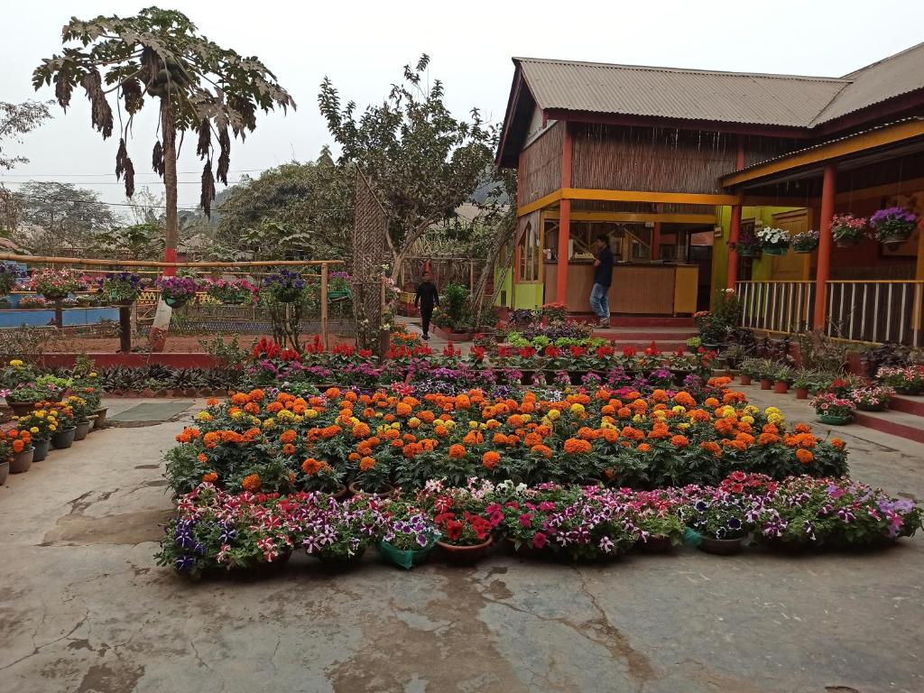 a display of flowers in front of a building at Atithya Resort in Khānāpāra